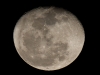 carolina-moon-1-21-2011